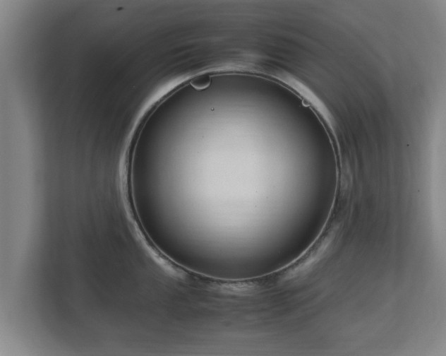 X0000113091053200909041145