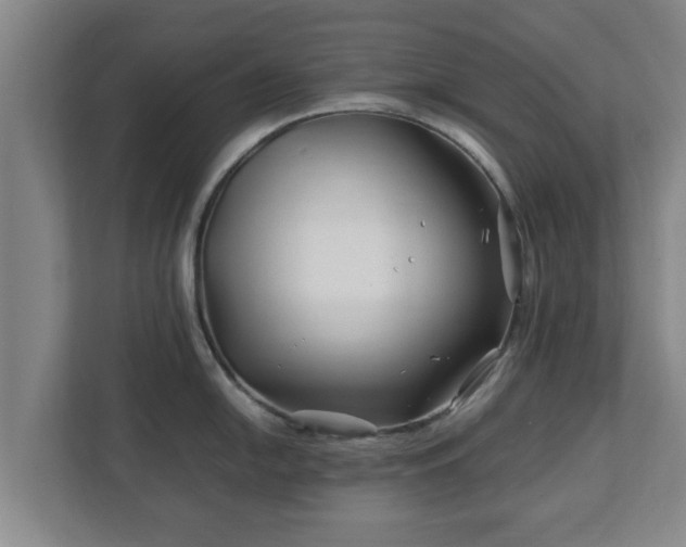 X0000113091054200909041145