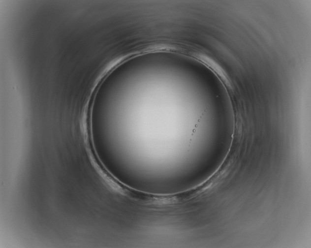 X0000113091055200909041145