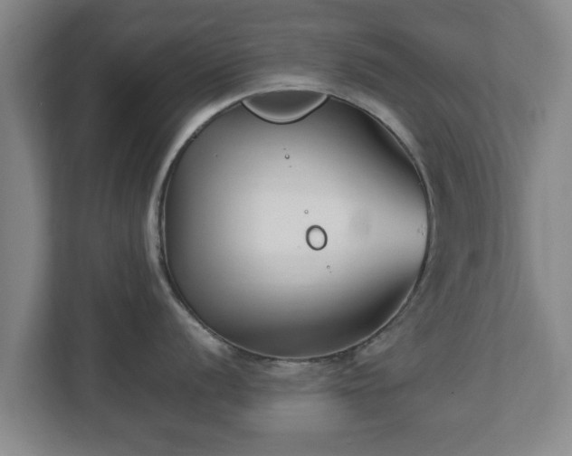 X0000113091056200909041145