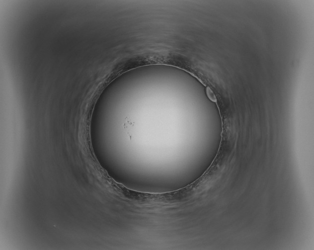 X0000113091057200909041144