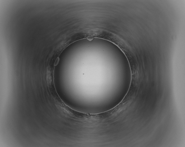 X0000113091058200909041144