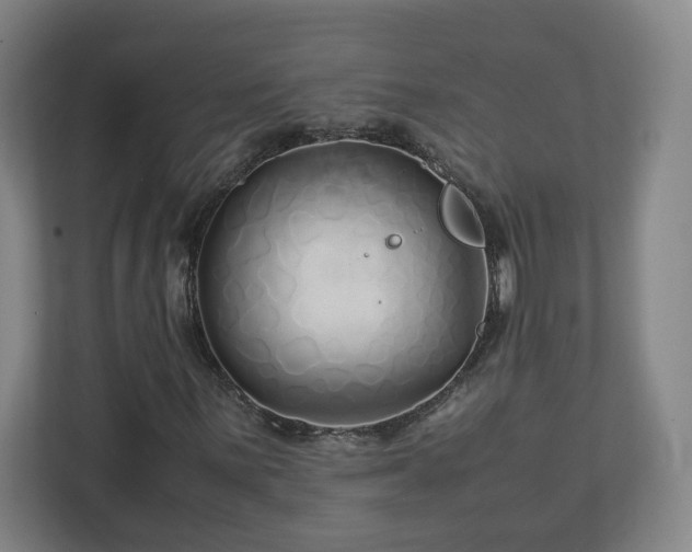 X0000113091059200909041144