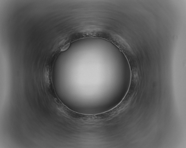 X0000113091060200909041144