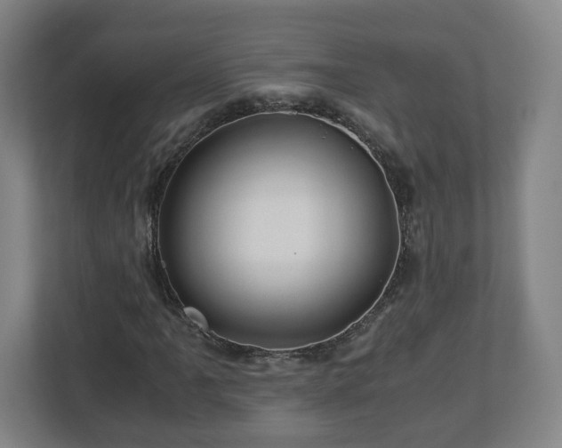 X0000113091061200909041144