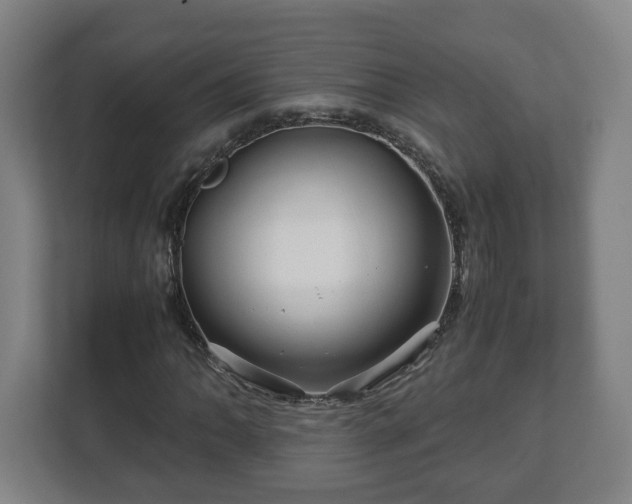 X0000113091062200909041144