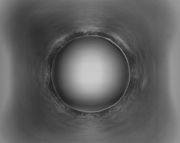 X0000113091063200909041144