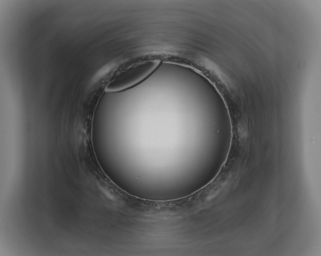 X0000113091064200909041144