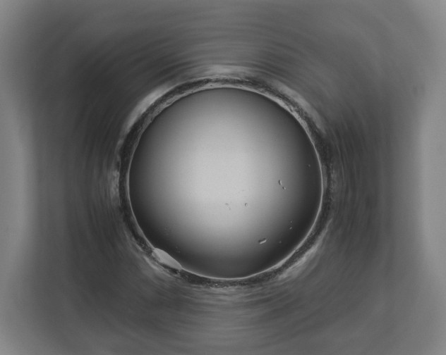 X0000113091066200909041144