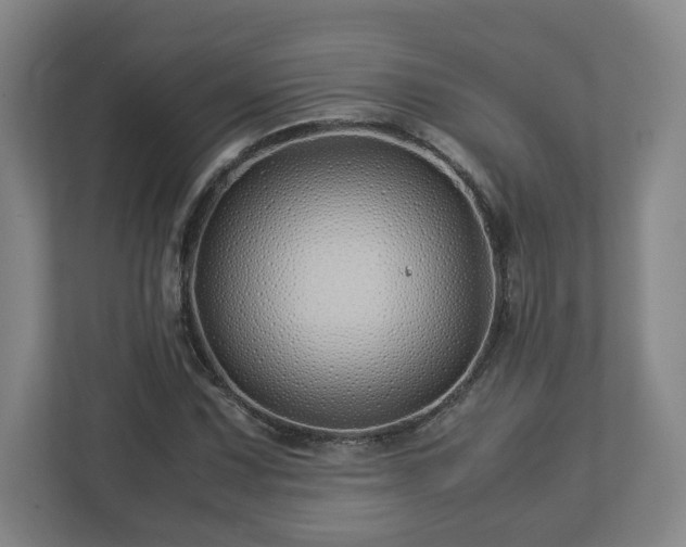 X0000113091067200909041144