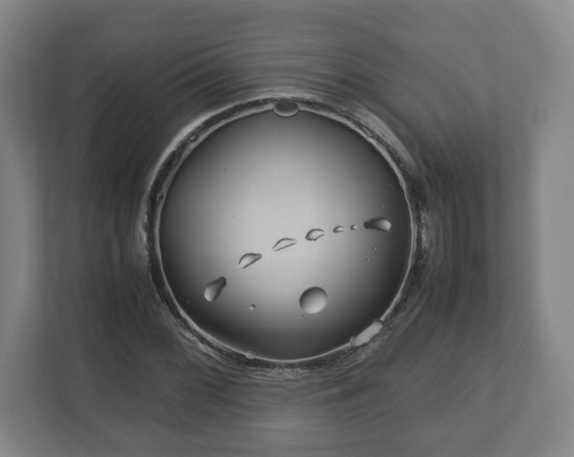 X0000113091068200909041144