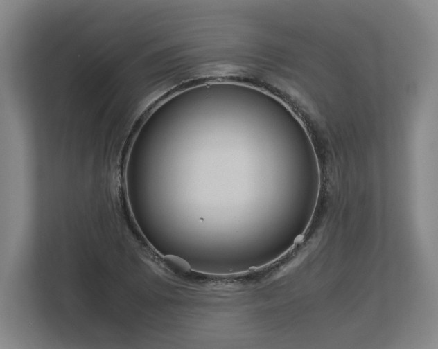 X0000113091073200909041144