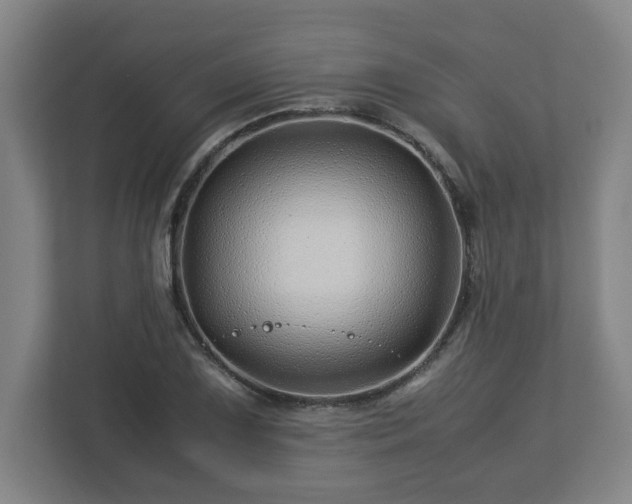 X0000113091075200909041144