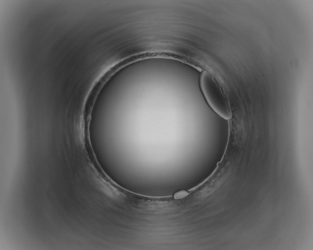 X0000113091076200909041144