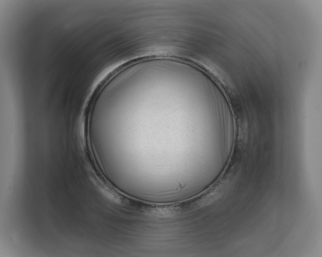 X0000113091078200909041144