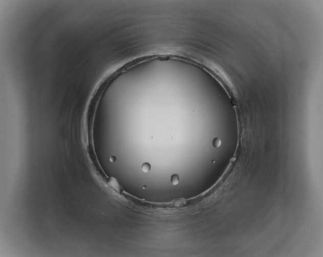 X0000113091080200909041144