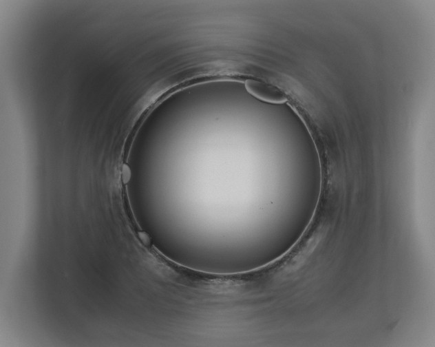 X0000113091081200909041144
