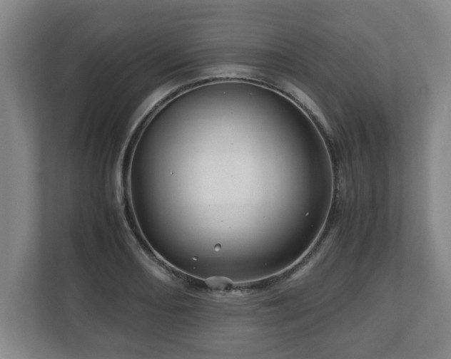 X0000113091082200909041144