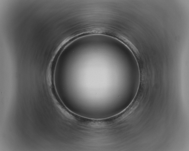 X0000113091083200909041144
