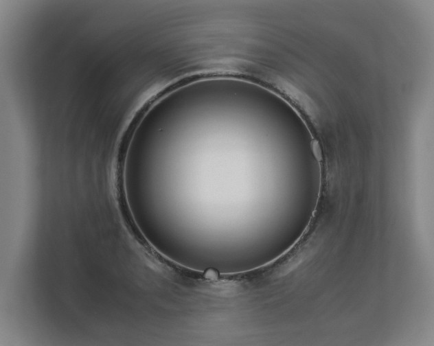 X0000113091085200909041144