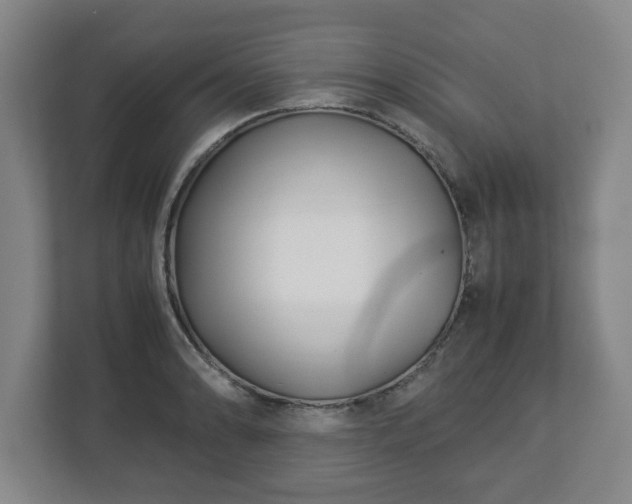 X0000113091086200909041144