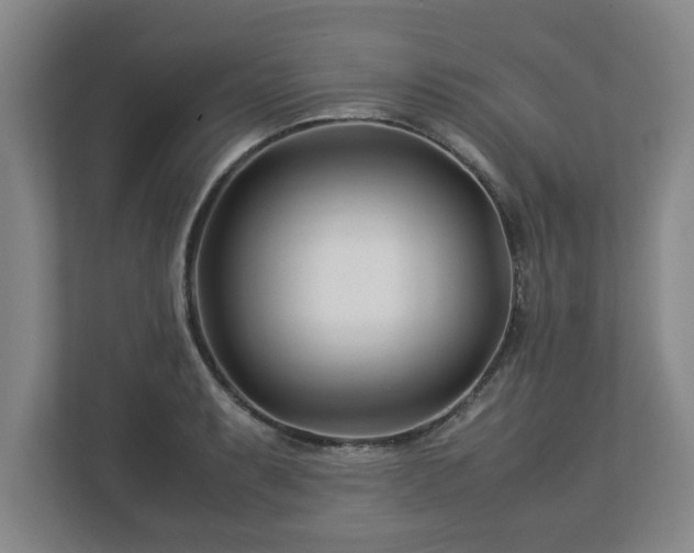 X0000113091087200909041144