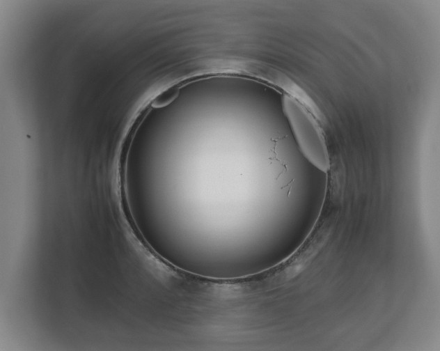 X0000113091088200909041144