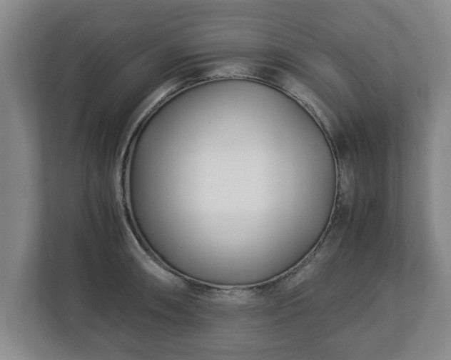 X0000113091090200909041144