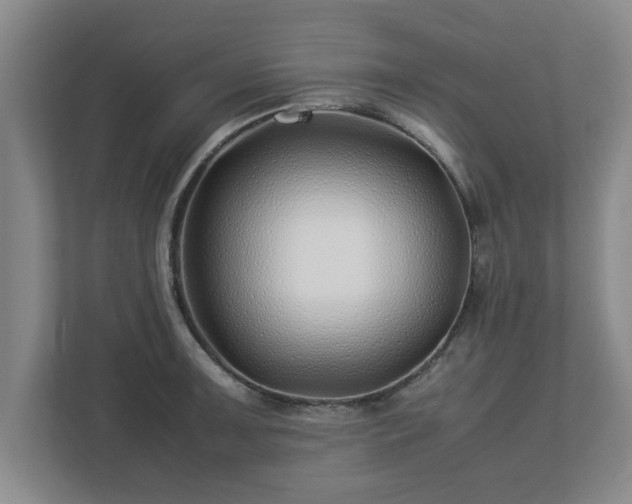 X0000113091091200909041144