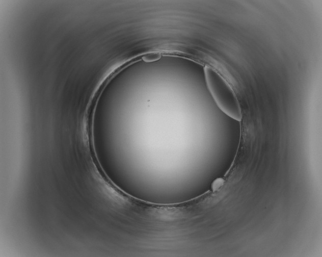 X0000113091092200909041144