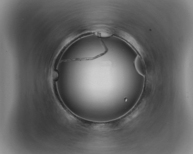 X0000113091093200909041144