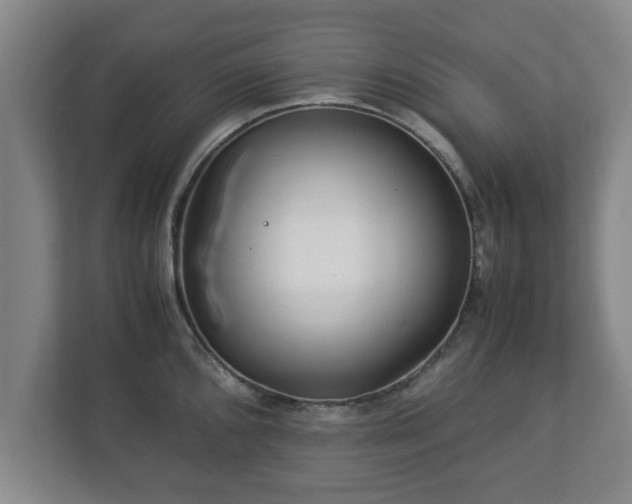 X0000113091096200909041144