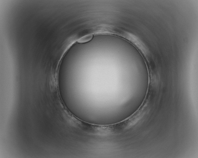 X0000113091097200909041144