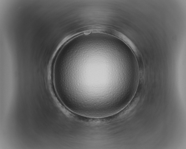 X0000113091099200909041144