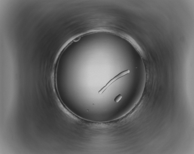 X0000113091100200909041144