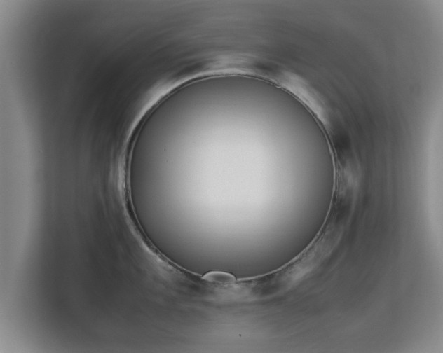 X0000113091101200909041144