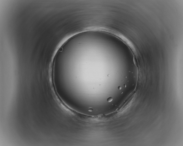 X0000113091102200909041144