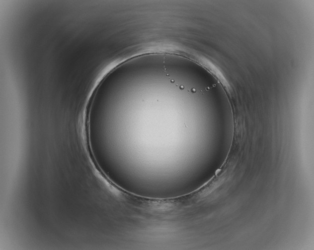 X0000113091103200909041144