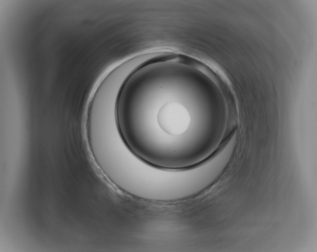 X0000113091104200909041144