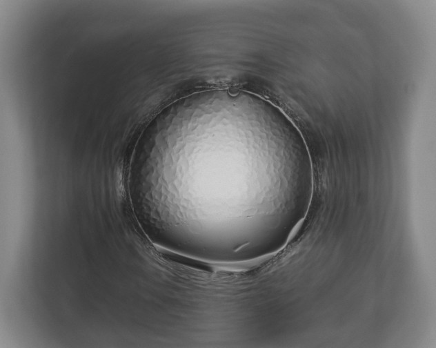 X0000113091106200909041143
