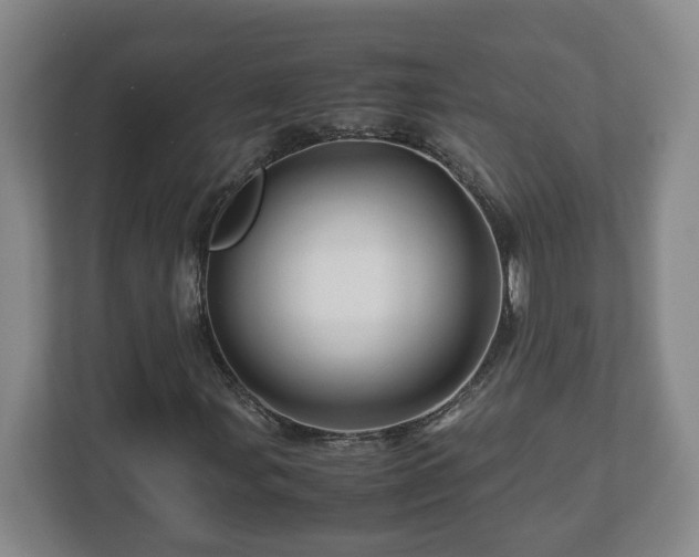 X0000113091107200909041143