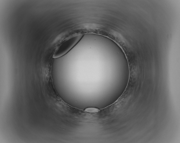 X0000113091110200909041143
