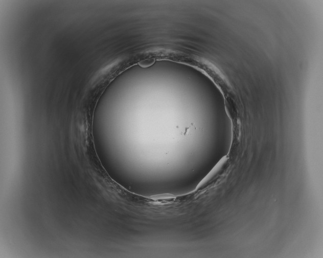 X0000113091111200909041143