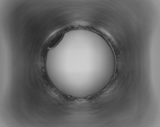 X0000113091112200909041143