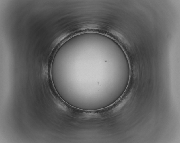 X0000113091113200909041143