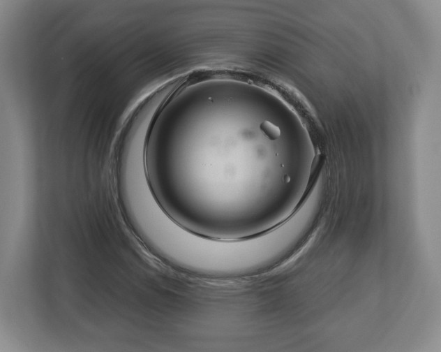 X0000113091114200909041143