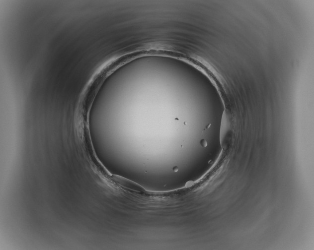 X0000113091115200909041143