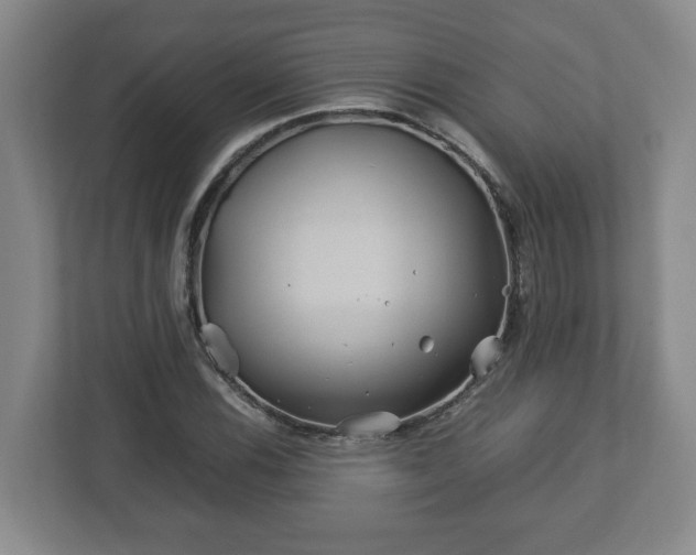 X0000113091116200909041143