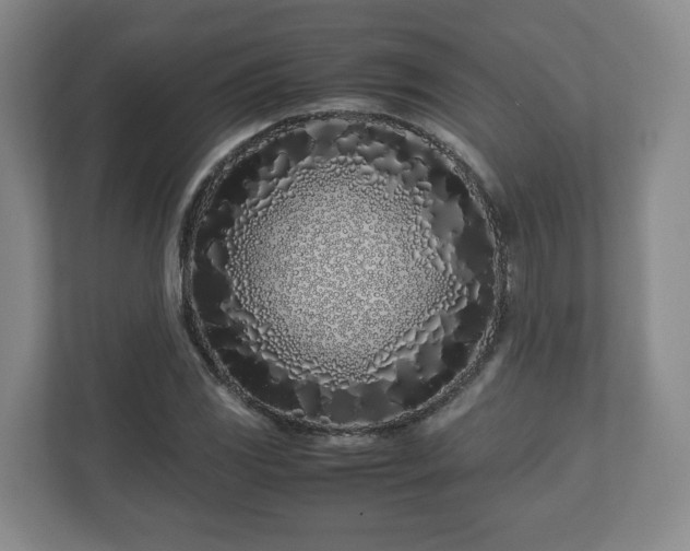 X0000113091117200909041143