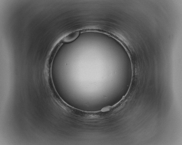 X0000113091119200909041143